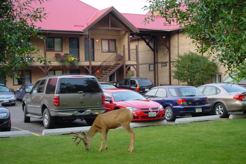 aspen village inn voorkant.png