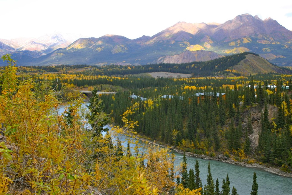 denali grizzly bear resort uitzicht vanaf kamer.jpg