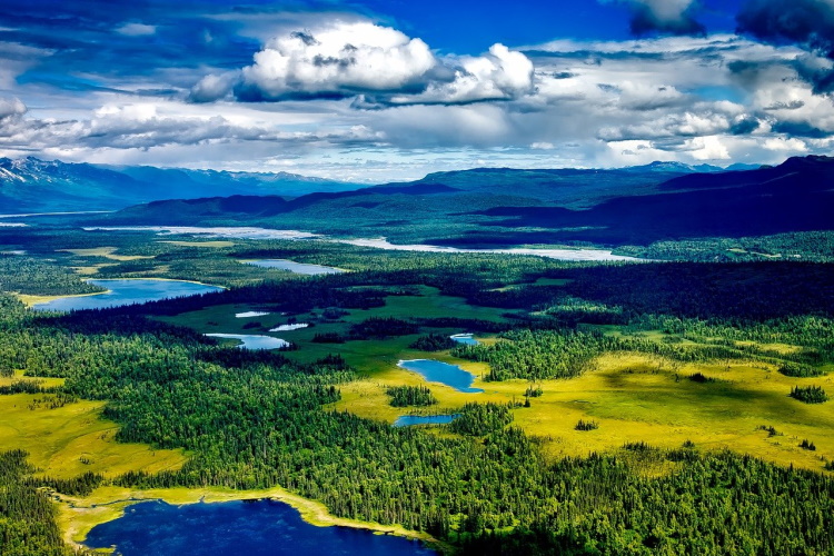 denali national park 010.jpg