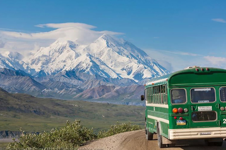 denali bus tour.jpg