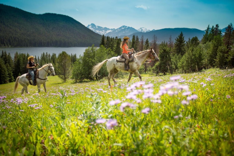 tyax lodge heliskiing activiteit paardrijden.jpg