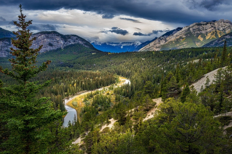 banff forest-5900553_1280.jpg