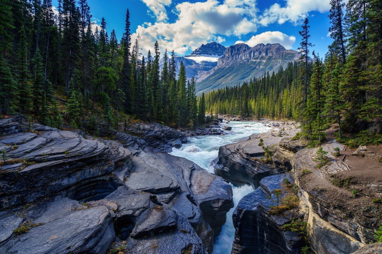 banff river-5765785_1280.jpg