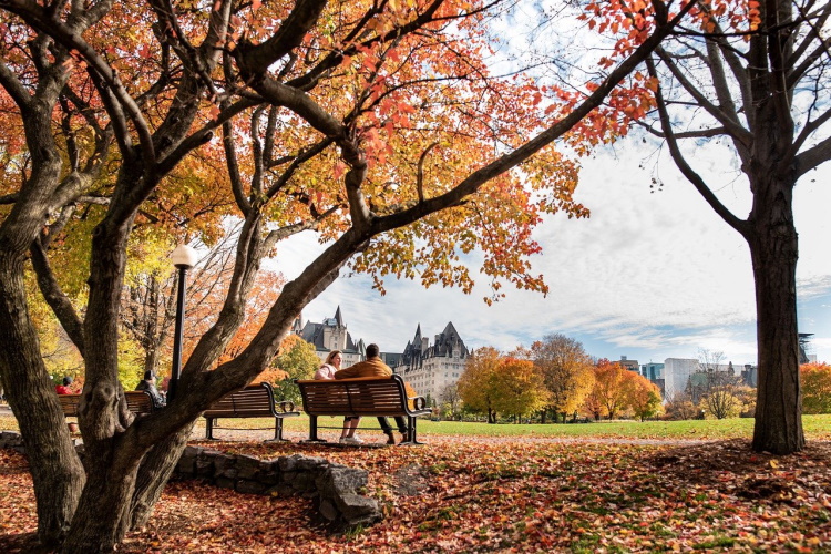 ottawa  fall-4641619_1280.jpg