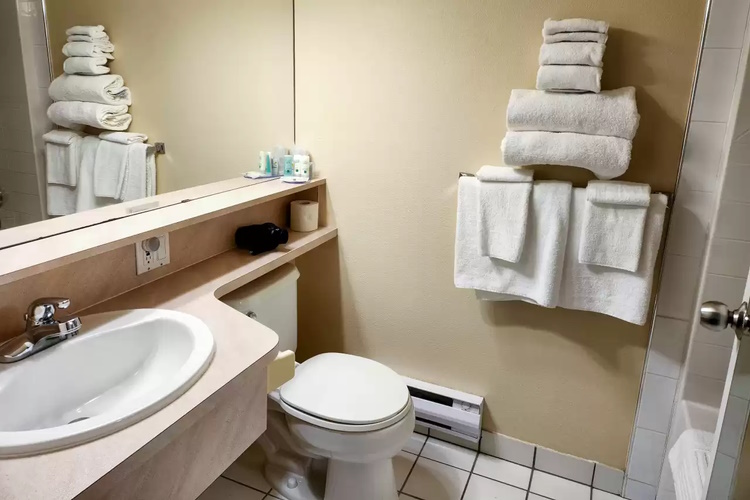 quality inn and suites clearwater badkamer.jpg