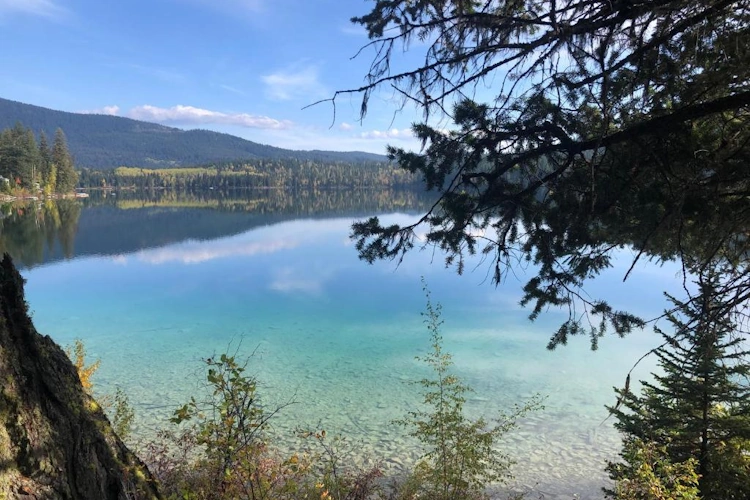 beaver guest ranch omgeving.webp