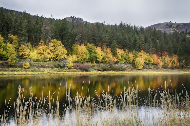 fall-reflection-4650221_1280 dag 11 klein.webp