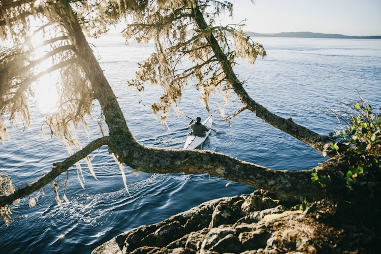 telegraph cove klein 001.webp