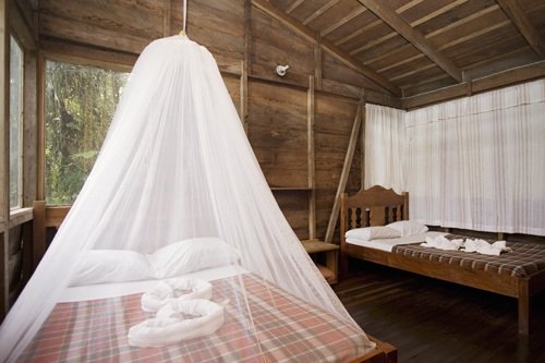 Rara Avis Lodge 003