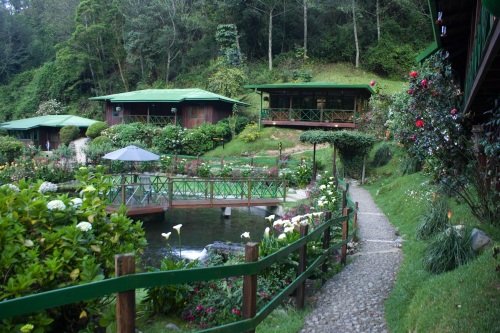 Trogon Lodge 001